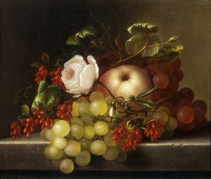 Şeftali, Üzüm ve Kuşburnu ile Natürmort, 1865 by Adelheid Dietrich