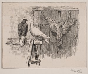 Düerne by Johan Adolph Kittendorff