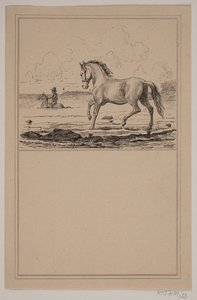 Sudaki at. No. 22 içinde Chr. Winther ve M. Rørbye, "Küçük Çocuklar için 25 Resim" by Johan Adolph Kittendorff