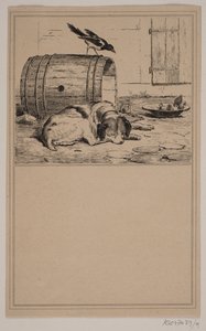 Köpeğin çukuru. No. 8