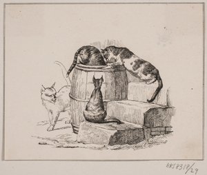 Kediler by Johan Adolph Kittendorff
