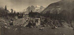  by Adolphe Braun