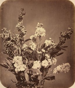 Buket, c. 1855.