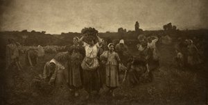  by Adolphe Braun