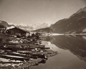  by Adolphe Braun