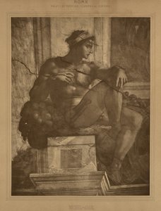  by Adolphe Braun