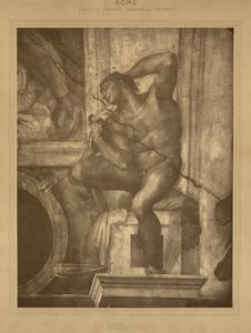  by Adolphe Braun