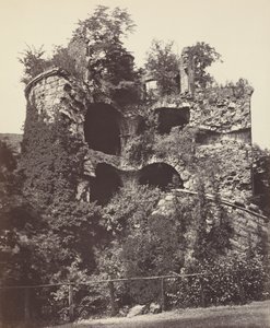  by Adolphe Braun