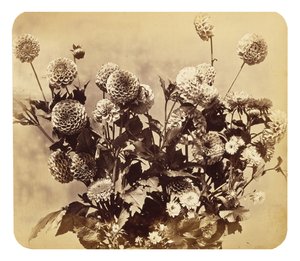 İsimsiz, c. 1860 (albüm baskısı)