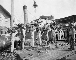 Muz yükleniyor, Port Antonio, Jamaika, c1905. by Adolphe Duperly and Son