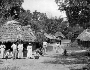 Yerli kulübeler, Jamaika, c1905.