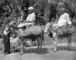 Hapishaneye, Jamaika, c1905.