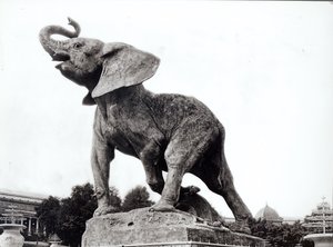Trocadero Sarayı önünde Emmanuel Fremiet (1824-1910) tarafından Tuzağa Yakalanan Genç Fil (1878), Evrensel Sergi (1878), Paris, 1888 by Adolphe Giraudon