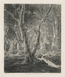 Pierrefonds Ormanları by Adolphe Théodore Jules Martial Potémont