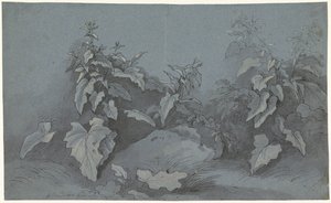 Bitki çalışması by Adriaan Boudewyns