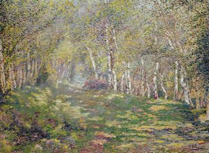 Gümüş Huş (tuval üzerine yağlı boya) by Adriaan Josef Heymans