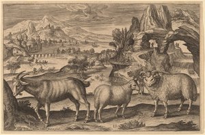 Keçi, Koyun ve Koç by Adriaen Collaert