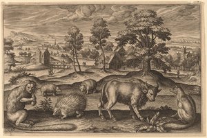 Bir Maymun, Bir Kirpi, İki Kirpi, Bir Bufalo ve Bir Tilki by Adriaen Collaert