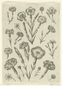 çeşitli anjers Florilegium (dizi adı) by Adriaen Collaert