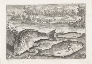 Bir bankada üç sazan Balık tutma (dizi adı) Piscium vivae simgeleri (seri başlığı) by Adriaen Collaert