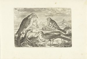 Bir manzara içinde üç kuş Avium Vivae (dizi adı) Kuşlar (dizi adı) by Adriaen Collaert