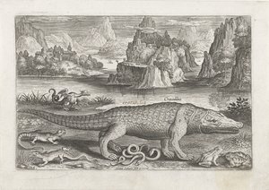 Bir kıyıda bazı sürüngenler ve amfibiler Balık tutma (dizi adı) Piscivm vivae simgeleri (seri başlığı) by Adriaen Collaert