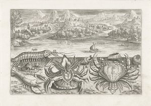 Sahilde bazı kabuklular Balık tutma (dizi adı) Piscium vivae simgeleri (seri başlığı) by Adriaen Collaert