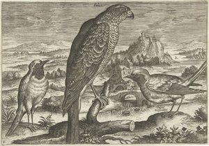Bir manzarada bazı kuşlar Kuşlar (dizi adı) Avivm vivae (dizi adı) by Adriaen Collaert