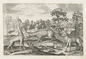 egzotik hayvanlar Dört ayaklı hayvanlar (dizi adı) Animalivm Qvaddrvpedvm (dizi başlığı) by Adriaen Collaert