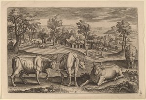 dört boğa by Adriaen Collaert