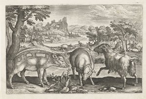 Keçi ve domuz Dört ayaklı hayvanlar (dizi adı) Animalivm Qvaddrvpedvm (dizi başlığı) by Adriaen Collaert