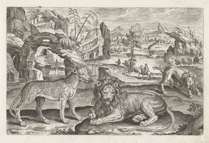 Aslanlar ve Leopar Dört ayaklı hayvanlar (dizi adı) Animalivm Qvaddrvpedvm (dizi başlığı) by Adriaen Collaert