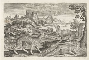 Martens, sincap ve tilki Dört ayaklı hayvanlar (dizi adı) Animalivm Qvaddrvpedvm (dizi başlığı) by Adriaen Collaert