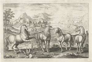 Atlar Dört ayaklı hayvanlar (dizi adı) Animalivm Qvaddrvpedvm (dizi başlığı) by Adriaen Collaert