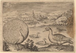 Tavus kuşu ve kaz by Adriaen Collaert