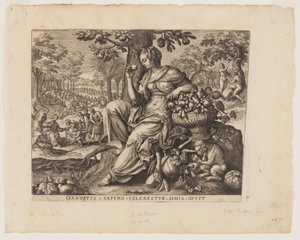  by Adriaen Collaert