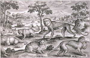Üç Kedi ve İki Maymun (gravür) by Adriaen Collaert