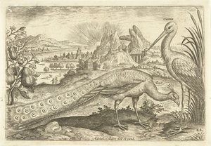Bir manzarada iki kuş Avium Vivae (dizi adı) Kuşlar (dizi adı) by Adriaen Collaert