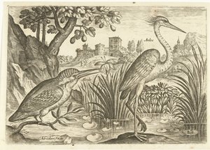 Bir manzarada iki kuş Kuşlar (dizi adı) Avium Vivae (dizi adı) by Adriaen Collaert