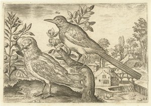Bir manzarada iki kuş Kuşlar (dizi adı) Avium Vivae (dizi adı) by Adriaen Collaert