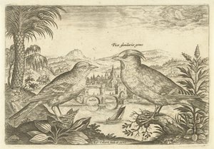 Bir manzarada iki kuş Kuşlar (dizi adı) Avium Vivae (dizi adı) by Adriaen Collaert