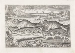Sahilde iki fok ve iki balık Balık tutma (dizi adı) Piscivm vivae simgeleri (seri başlığı) by Adriaen Collaert