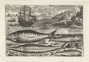 Sahilde dört balık Balık tutma (dizi adı) Piscium vivae simgeleri (seri başlığı) by Adriaen Collaert