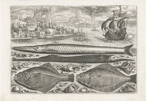 Sahilde dört balık Balık tutma (dizi adı) Piscium vivae simgeleri (seri başlığı) by Adriaen Collaert