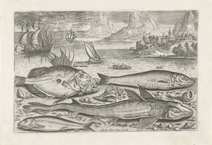 Sahilde dört balık Balık tutma (dizi adı) Piscium vivae simgeleri (seri başlığı) by Adriaen Collaert