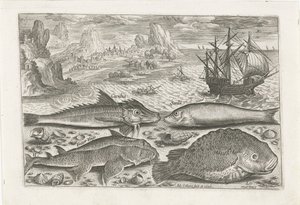 Sahilde dört balık Balık tutma (dizi adı) Piscium vivae simgeleri (seri başlığı) by Adriaen Collaert