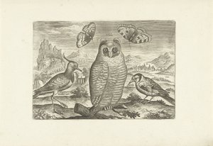 Manzaradaki kuşlar ve kelebekler Kuşlar (dizi adı) Avium vivae (dizi adı) by Adriaen Collaert