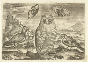 Manzaradaki kuşlar ve kelebekler Kuşlar (dizi adı) Avium vivae (dizi adı) by Adriaen Collaert