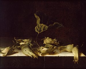 Fındıklı Natürmort, 1696 by Adrian Coorte