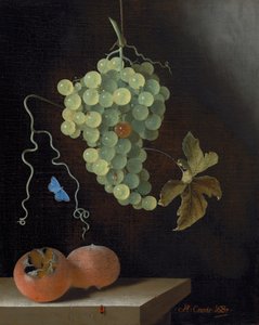 Bir Salkım Üzüm, İki Muşmula ve Bir Kelebek ile Natürmort by Adrian Coorte